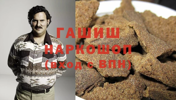 гидропоника Алзамай