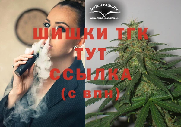 сатива Алексеевка