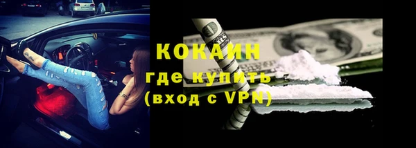 кокс Алексин