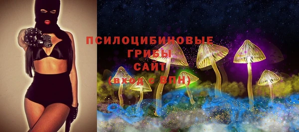 сатива Алексеевка
