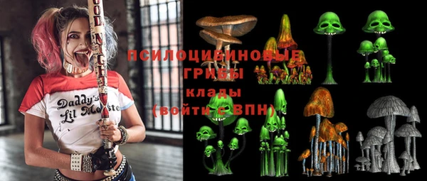 гидропоника Алзамай