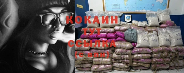 кокс Алексин