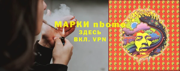 кокс Алексин