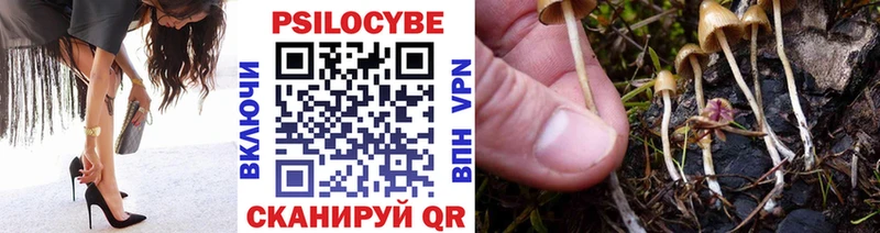 как найти закладки  Березники  Псилоцибиновые грибы мухоморы 